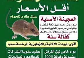 إعلان عن مبارك الكبير