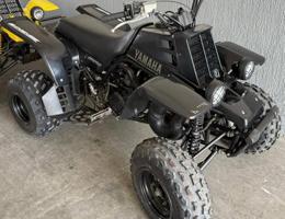 إعلان عن بانشي ستوك بالكامل