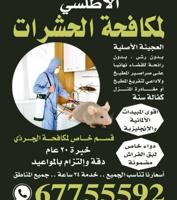 إعلان عن رش حشرات كفالة سنه ومراجعه مجانيه