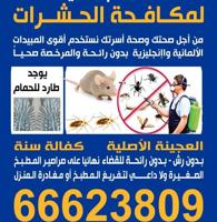 إعلان عن الطاقم الفني لمكافحة الحشرات والقوارض خدمه 24 ساعه اقل الأسعارمع كفاله