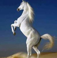 إعلان عن متخصصون في البيع 👌 بيعات سريعة ع التوقيع ✍️