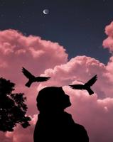 إعلان عن مدرسة لغة عربيه وتأسيس جميع مواد المرحلة الابتدائية