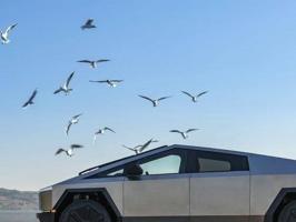 إعلان عن سايبر تراك cybertruck 2024 بحالة الوكالة