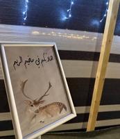 إعلان عن مخيم الريم