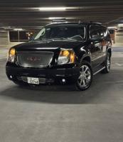 إعلان عن دينالي 2010