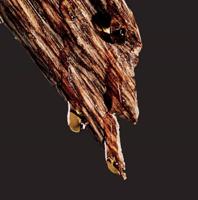 إعلان عن للإيجار من المالك مباشرة