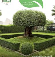 إعلان عن تنسيق حدائق زراعه ثيل طبيعي تركيب ثيل صناعي سياج تركي تمديد شبكه ري