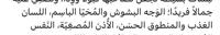 إعلان عن بدل قسيمه في المطلاع مع جنوب او غرب عبدالله