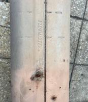 إعلان عن للبيع قزوز طالبه من امريكا