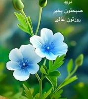 إعلان عن للايجار شقه  بهديه ق٤ ارضيه مدخل خاص ٣ غرف نوم