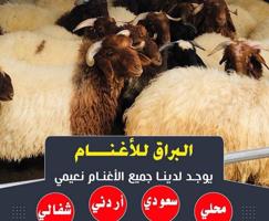 إعلان عن توصيل جميع مناطق الكويت