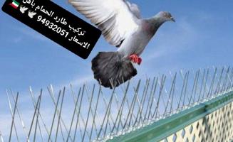 إعلان عن طارد لحمام شبك لحمام مانع للحمام سلك لحمام احمي بيتك من الفيروزات🇰🇼