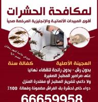 إعلان عن مكافحة حشرات كفاله سنه