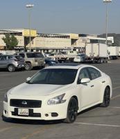 إعلان عن مكسيما 2013 شرط الفحص