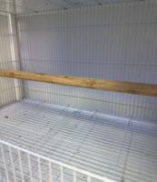 إعلان عن 🪵 للبيع مجاثم طيور خشبية – مناسبة لقفص 601 🐦