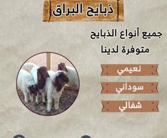 إعلان عن توصيل جميع مناطق الكويت