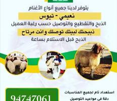 إعلان عن يتوفر  لدينا جميع انواع  الاغنام