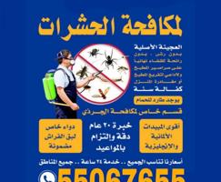 إعلان عن مكافحه حشرات وقوارض