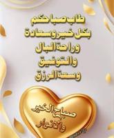 إعلان عن يمني ابحث عن عمل مندوب عام او تحصيل