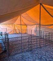 إعلان عن خيام وذريات افضل حل للمواليد