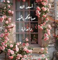 إعلان عن روايح وتذوق