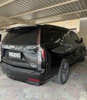 إعلان عن اسكاليد سبورت صبغ الوكاله