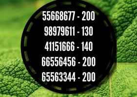 إعلان عن قابل للسوم