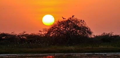 إعلان عن الأحمدي المنقف