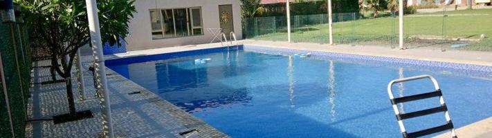 إعلان عن للإيجار اليومي مزارع في الوفرة