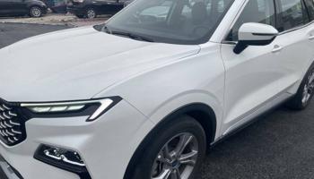 إعلان عن فورد تيري توري