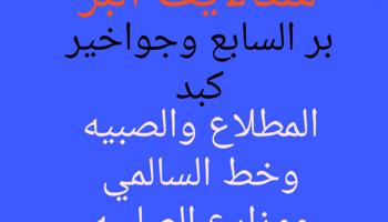 إعلان عن ستلايت البر والمخيمات