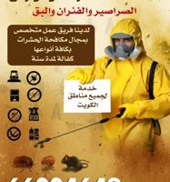 إعلان عن @مكافحة@حشرات@رش@مبيدات@زهيوي@عجينة@مطبخ@فئران#مكافحة#حشرات