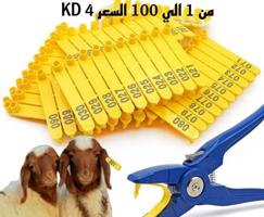 إعلان عن مستلزمات المربين