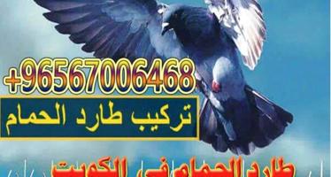 إعلان عن تركيب طارد الحمام الكويت