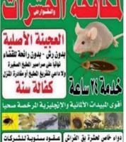 إعلان عن مكافحه حشرات وقوارض كفاله سنه