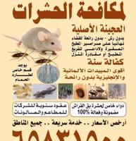 إعلان عن مكافحة حشرت جميع الكويت خدمات 24 ساعه