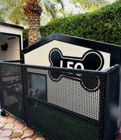 إعلان عن بيت كلاب