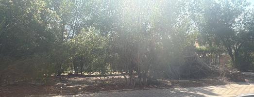 إعلان عن شارع واحد أمامه جزيره ساحه