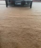 إعلان عن شقة بصباح السالم