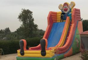 إعلان عن نطاطيه للبيع