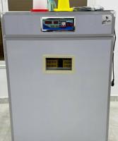 إعلان عن مكاين فقاسات راعي الزين