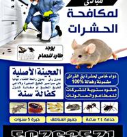 إعلان عن مكافحة حشرات