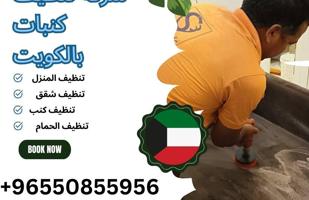 إعلان عن House cleaning kuwait