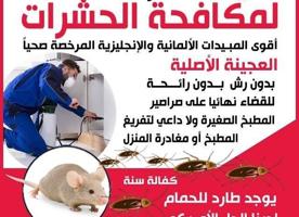 إعلان عن الصياد المحترف لمكافحة الحشرات والقوارض باقوي المبيدات خدمه 24ساعه