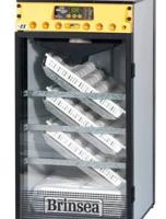 إعلان عن مطلوب فقاسات نايف 190 بيضه