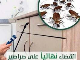 إعلان عن مكافحة جميع الحشرات والقوارض جميع مناطق الكويت