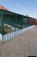 إعلان عن للبيع محاكر وأقفاص كيربي جميع الأحجام .. كما يوجد كبرات معزوله