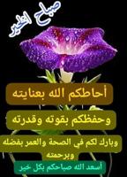 إعلان عن للايجار شقه بفهد الاحمد ٢غرف صاله حمام مطبخ