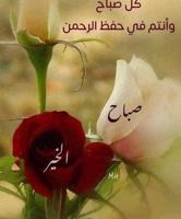 إعلان عن للايجار شقه ارضيه بالعدان ٢غرف صاله ٢حمام ومطبخ سيراميك