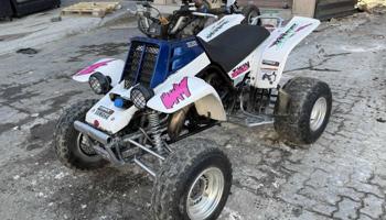 إعلان عن بانشي ٢٠٠٦